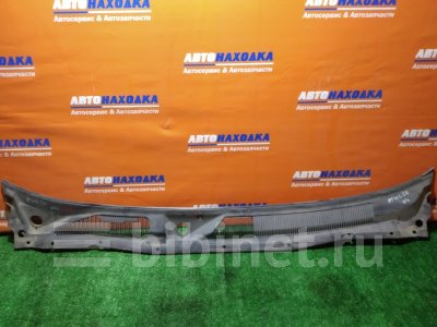 Купить Решетку под лобовое стекло на Nissan Elgrand ALE50  в Красноярске