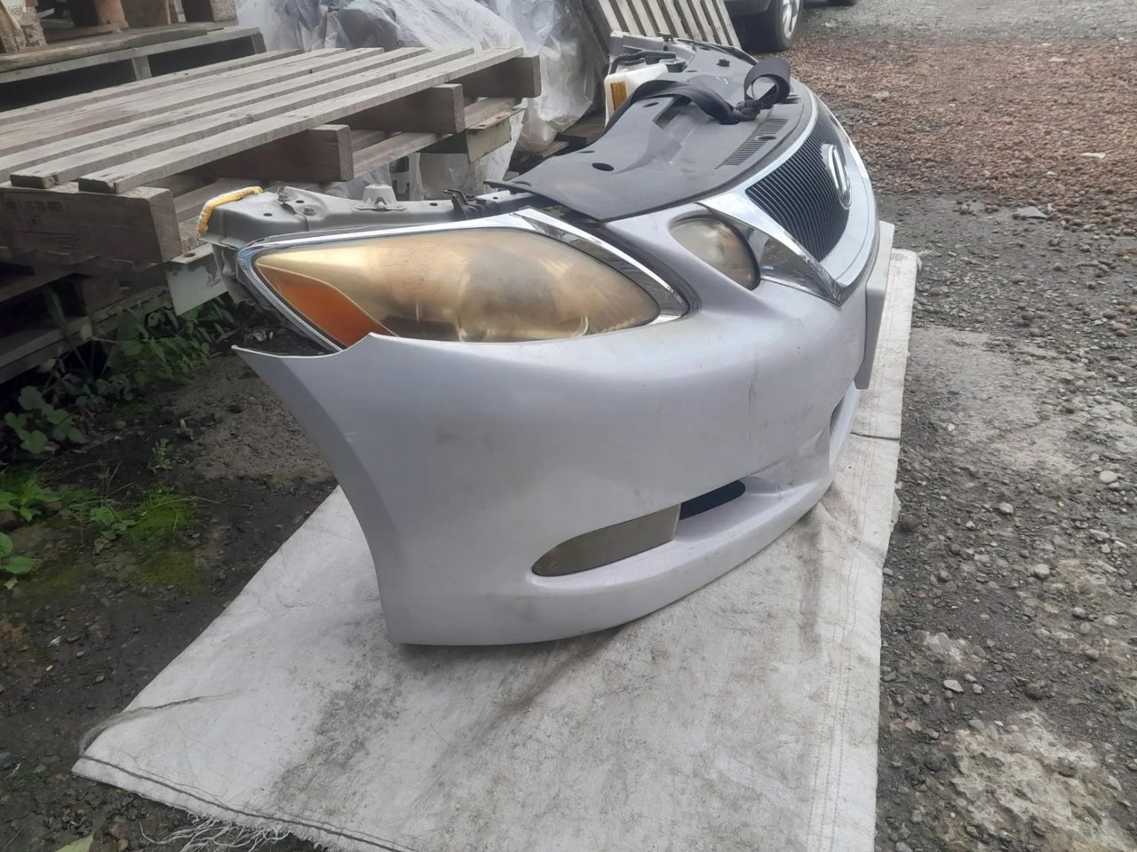 Nose cut, 79900 рублей, Красноярск