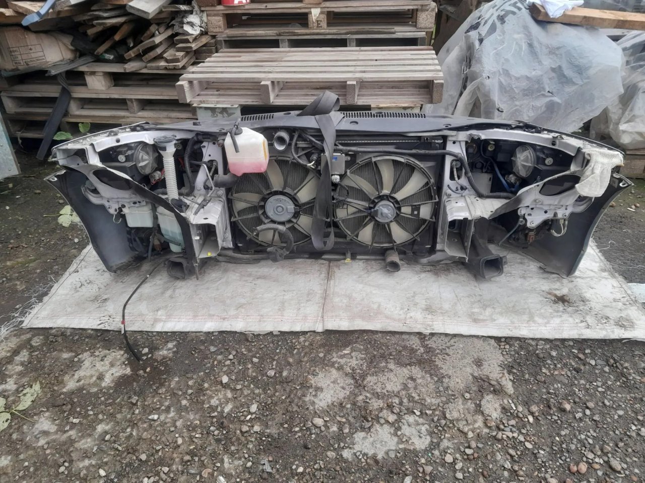 Nose cut, 79900 рублей, Красноярск
