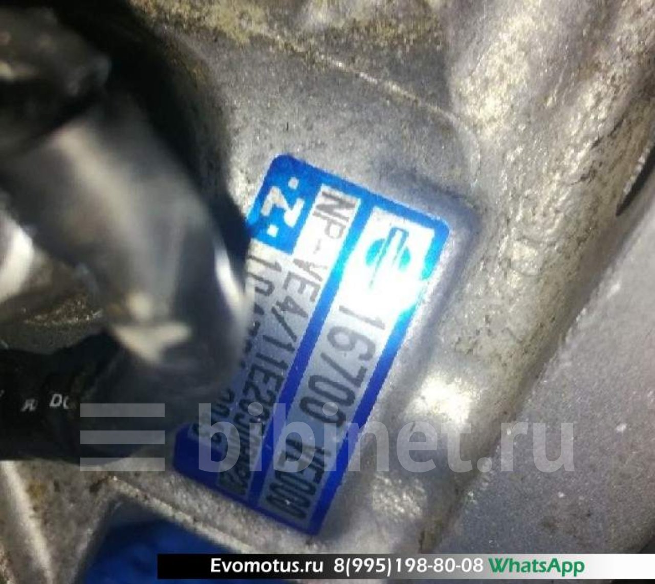Ниссан Эльгранд Qd32 Купить