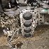 Купить Двигатель на Mazda Bongo SSF8R RF-T в Красноярске