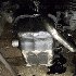 Купить Двигатель на Mazda Bongo SSF8R RF-T в Красноярске
