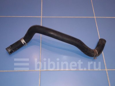 Купить Патрубок на Nissan Bluebird Sylphy QG10 QG18DE нижний в Красноярске