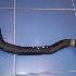 Купить Патрубок на Nissan Bluebird Sylphy QG10 QG18DE нижний в Красноярске