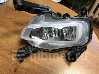Купить Фару противотуманную на KIA Ceed 2018г. правую в Красноярске