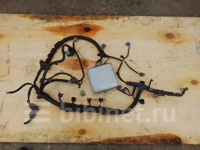Купить Блок управления ДВС на Honda Accord 2001г. CF3 F18B в Красноярске