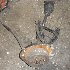 Купить Привод на Toyota Mark II 1998г. GX100 1G-FE задний левый в Красноярске