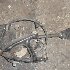 Купить Привод на Toyota Mark II 1998г. GX100 1G-FE задний левый в Красноярске