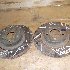 Купить Диск тормозной на Subaru Impreza GC8 EJ20G в Новосибирске