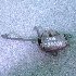 Купить Замок капота на Toyota Mark II Blit 2002г. JZX115 1JZ-GE в Новосибирске