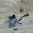 Купить Клапан EGR на Toyota Allion NZT240 1NZ-FE в Хабаровске