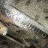 Купить Зеркало боковое на Mercedes-Benz CLK-CLASS 2002г. в Брянске