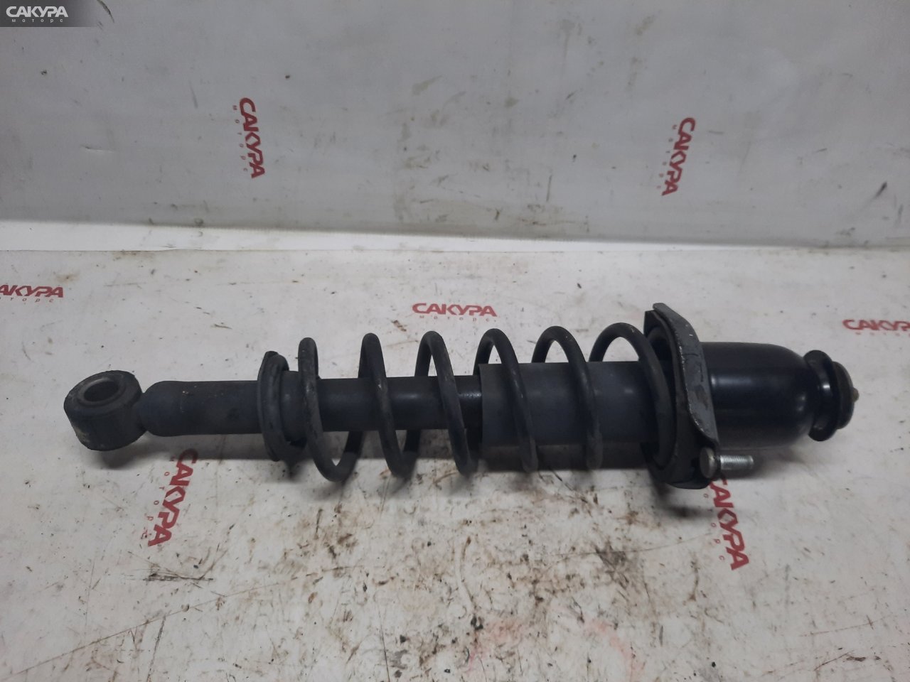 Стойка подвески задняя правая Toyota Corolla Runx NZE121 1NZ-FE: купить в Сакура Красноярск.