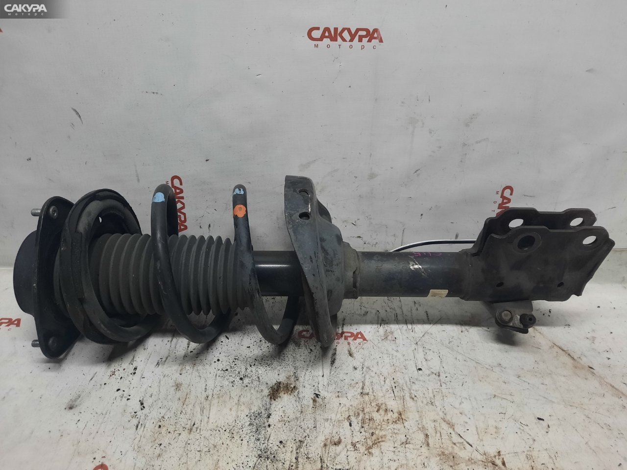 Стойка подвески передняя правая Subaru Forester SH5 EJ204: купить в Сакура Красноярск.