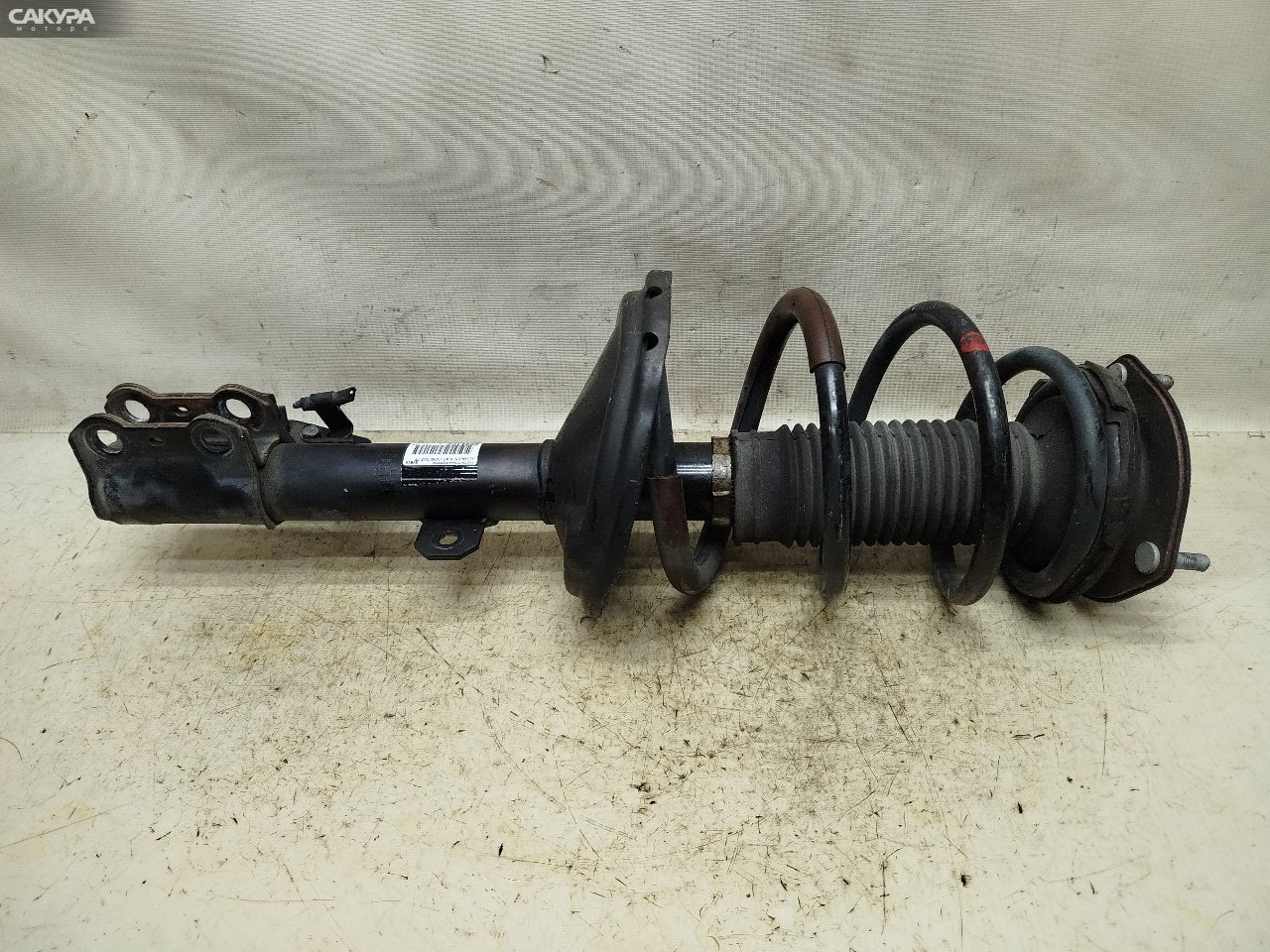 Стойка подвески передняя левая Toyota Harrier ACU30W 2AZ-FE: купить в Сакура Красноярск.