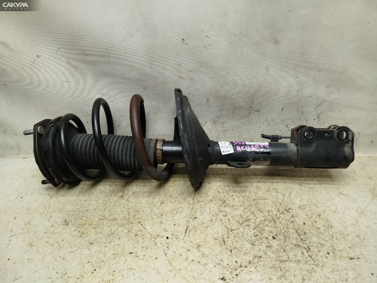 Стойка подвески передняя правая Toyota Harrier ACU30W 2AZ-FE: купить в Сакура Красноярск.