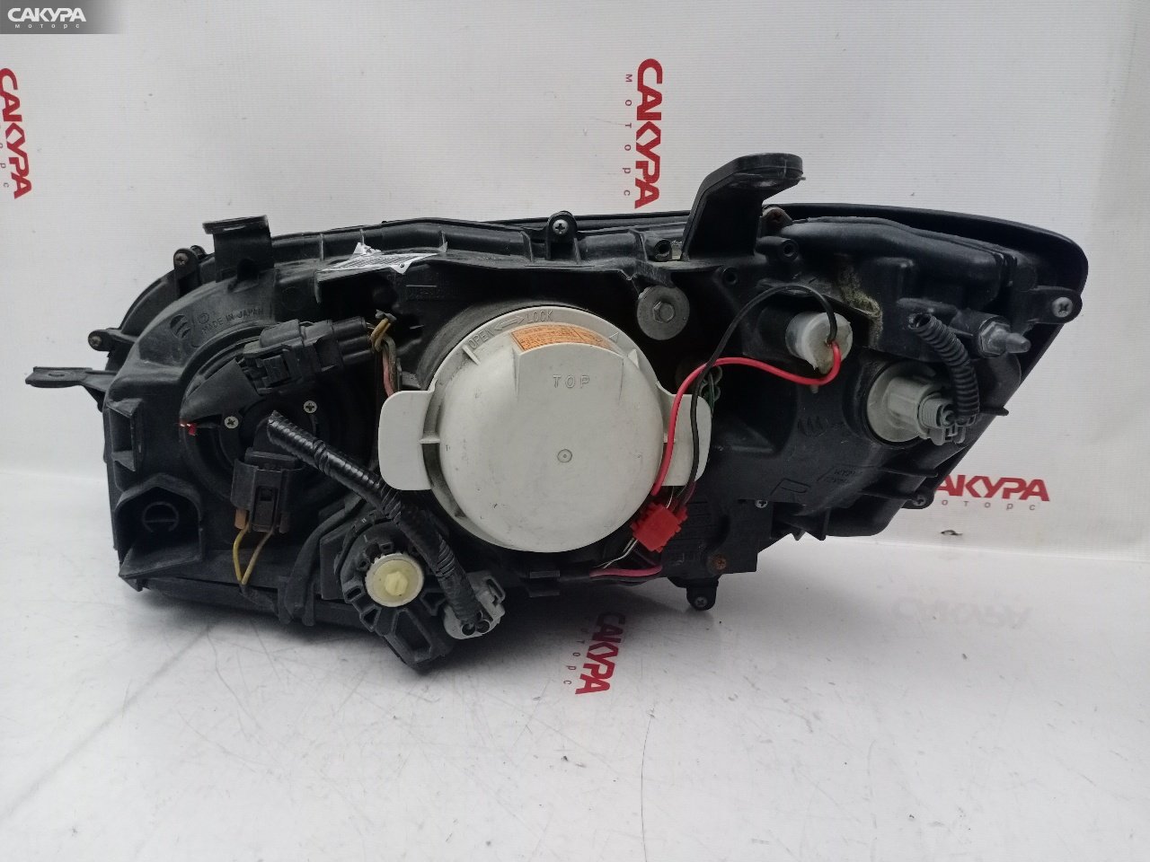 Фара правая Subaru Legacy BP5 EJ20Y 100-20791: купить в Сакура Красноярск.