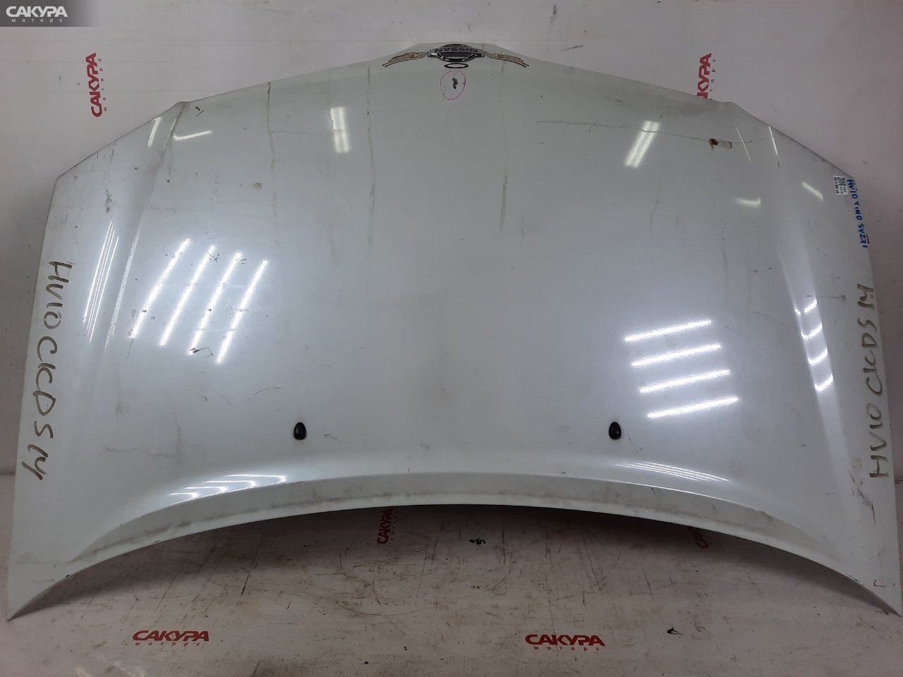 Капот Nissan Tino HV10 SR20DE: купить в Сакура Красноярск.