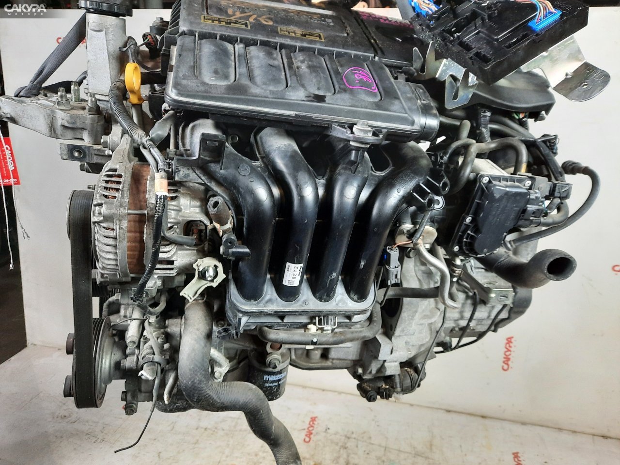 Двигатель Mazda Demio DE3FS ZJ-VE: купить в Сакура Красноярск.