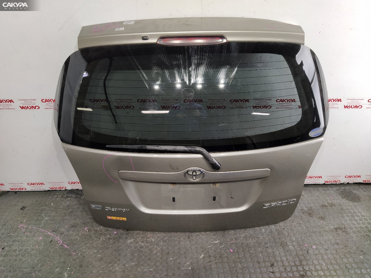 Дверь багажника Toyota Corolla Spacio ZZE122N 1ZZ-FE: купить в Сакура Красноярск.