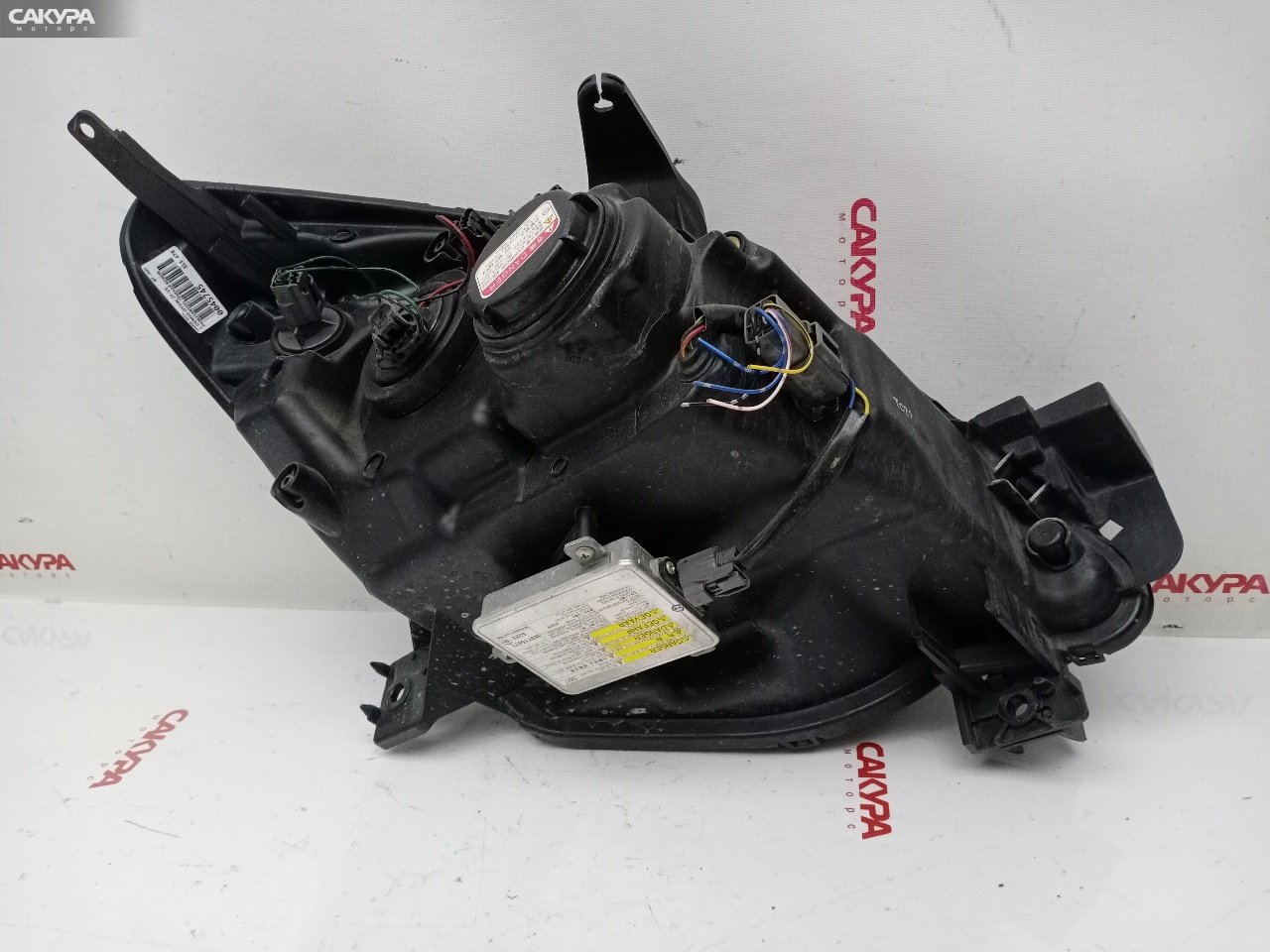 Фара левая Mazda Demio DY5W ZY-VE P5062: купить в Сакура Красноярск.