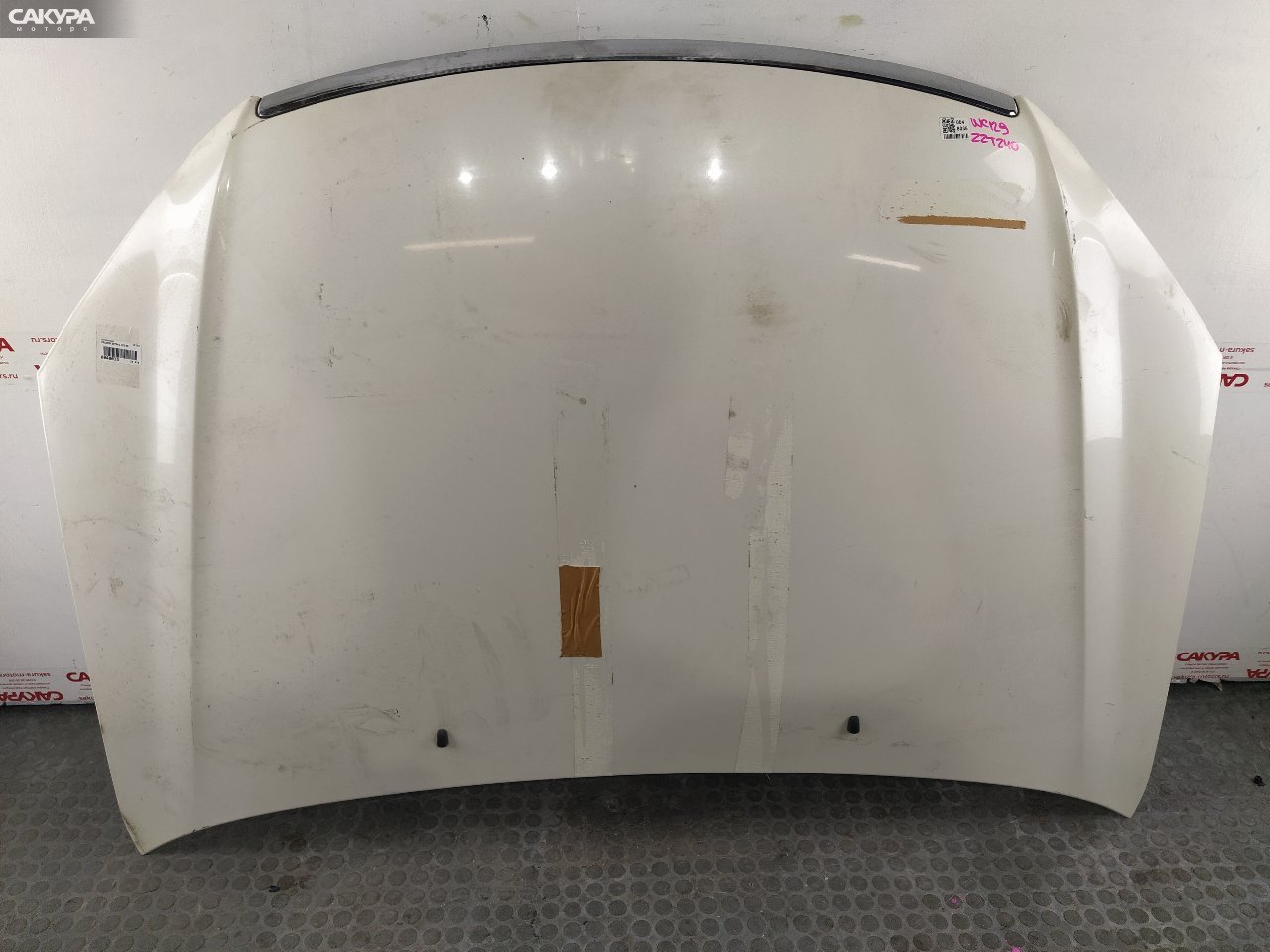 Капот Toyota Premio ZZT240 1ZZ-FE: купить в Сакура Красноярск.