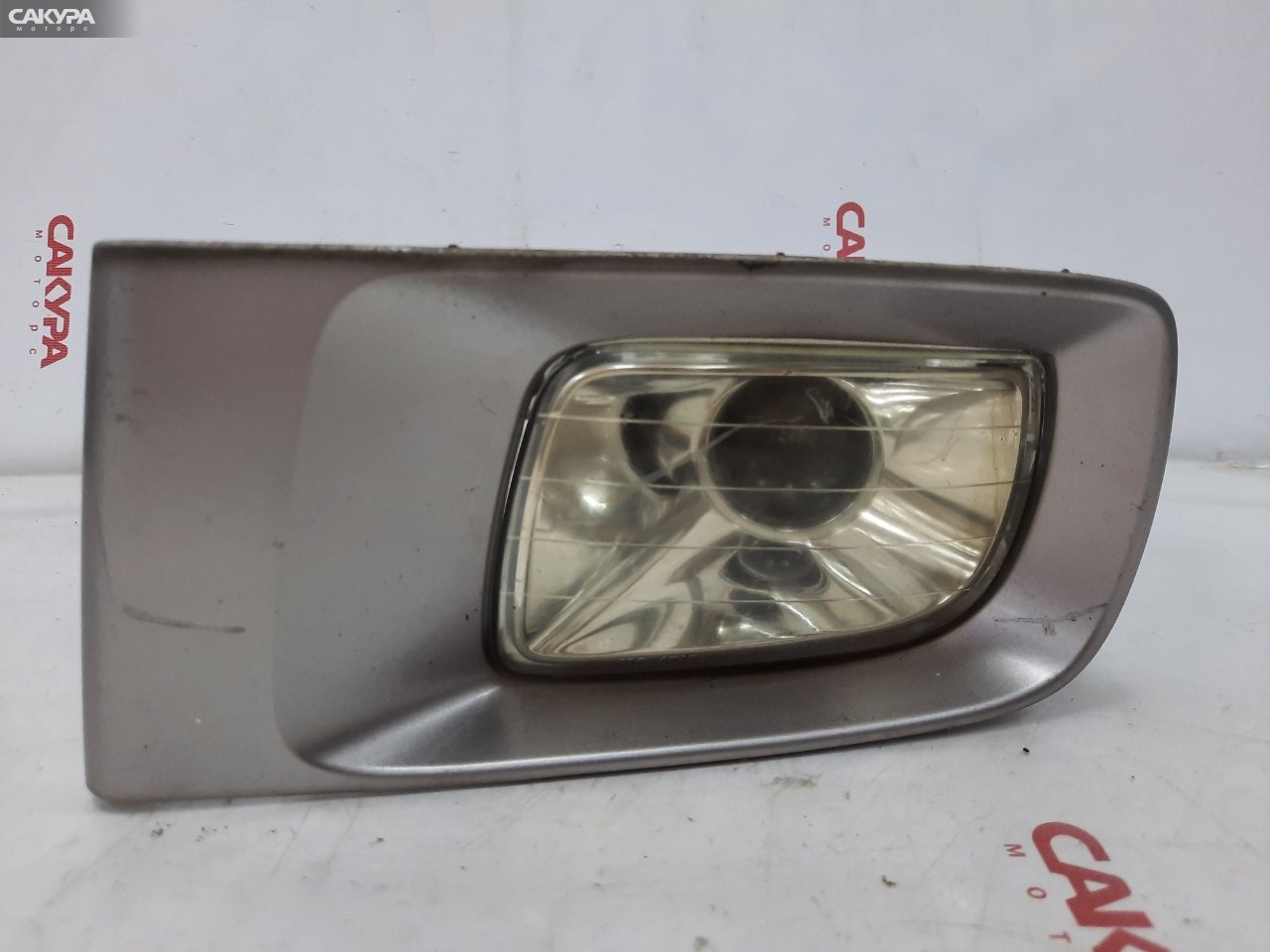 Фара противотуманная левая Toyota Gaia ACM15G 1AZ-FSE 44-53: купить в Сакура Красноярск.