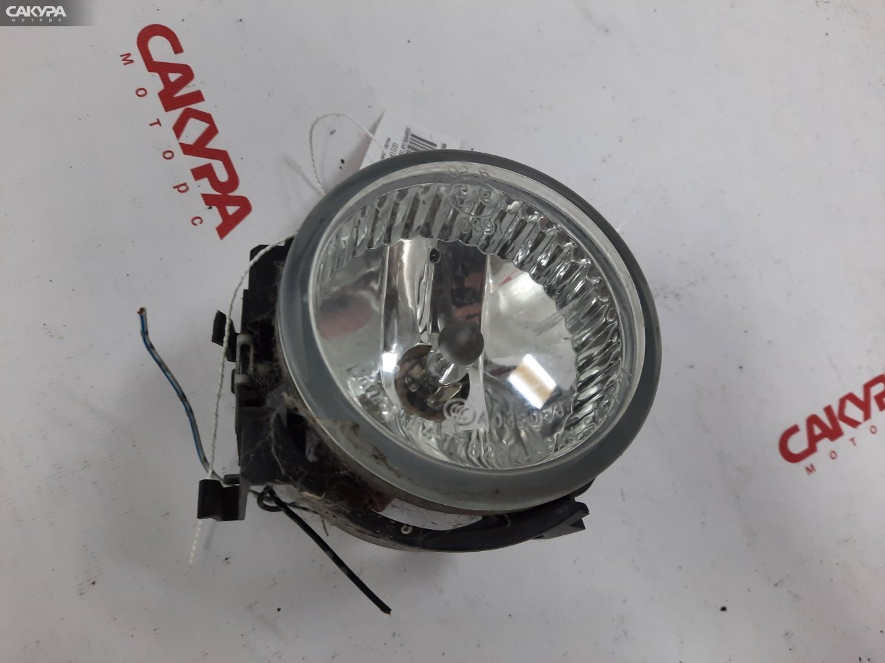 Фара противотуманная левая Subaru Legacy BL5 EJ203 114-77828: купить в Сакура Красноярск.