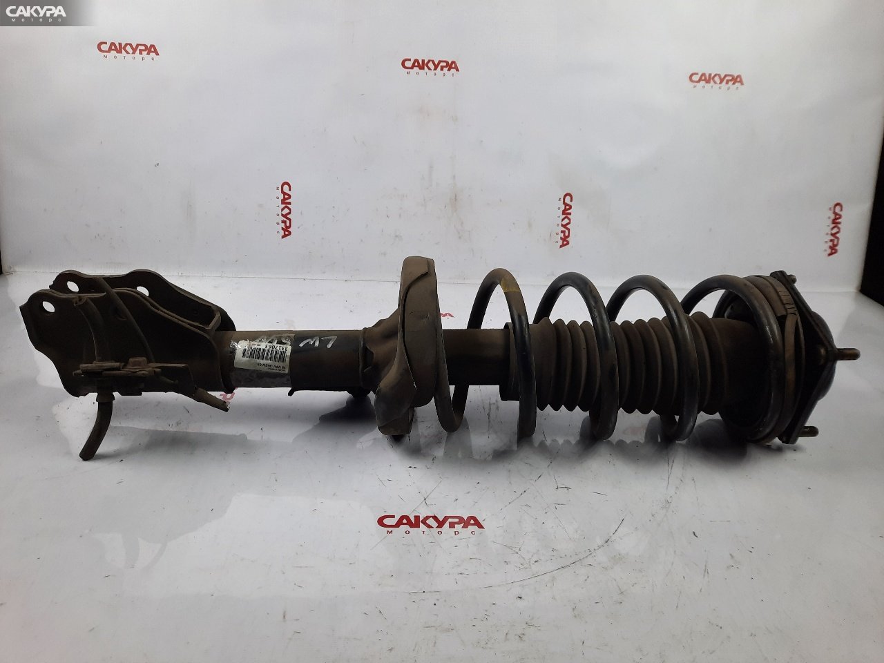 Стойка подвески передняя правая Mazda MPV LW5W GY: купить в Сакура Красноярск.