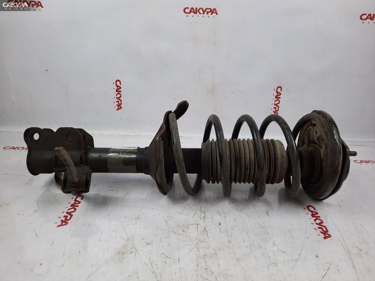Стойка подвески передняя правая Nissan Pulsar FN15 GA15DE: купить в Сакура Красноярск.