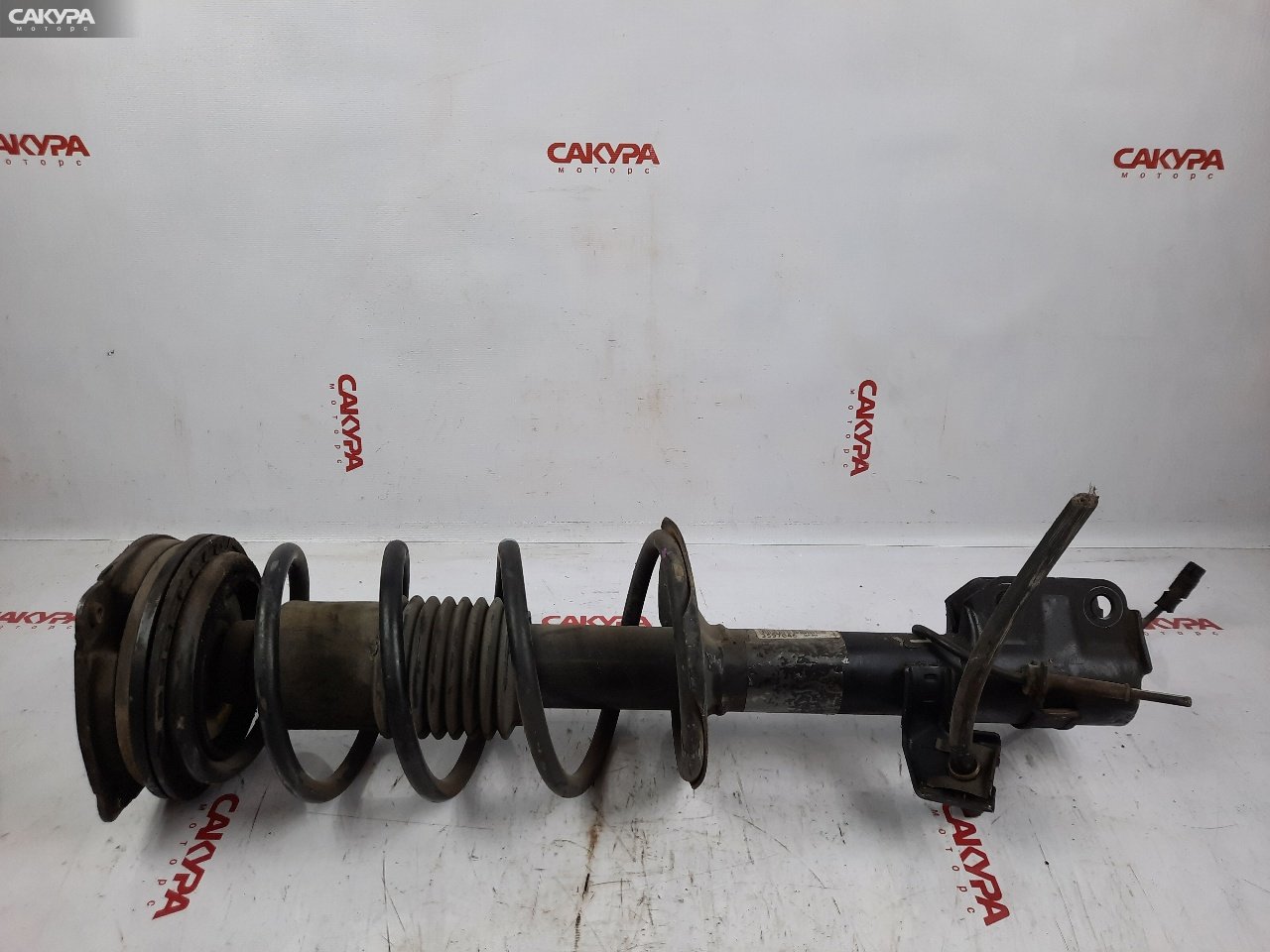 Стойка подвески передняя левая Nissan March AK12 CR12DE: купить в Сакура Красноярск.