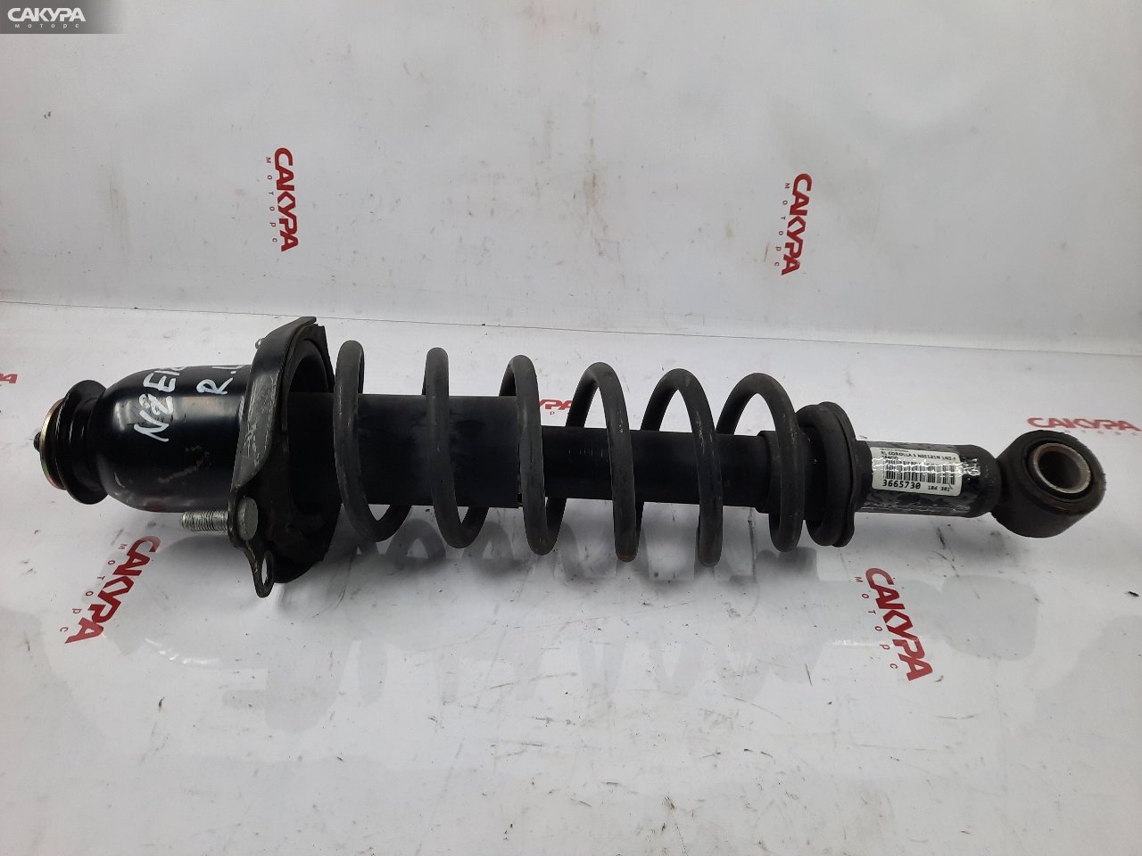 Стойка подвески задняя левая Toyota Corolla Spacio NZE121N 1NZ-FE: купить в Сакура Красноярск.