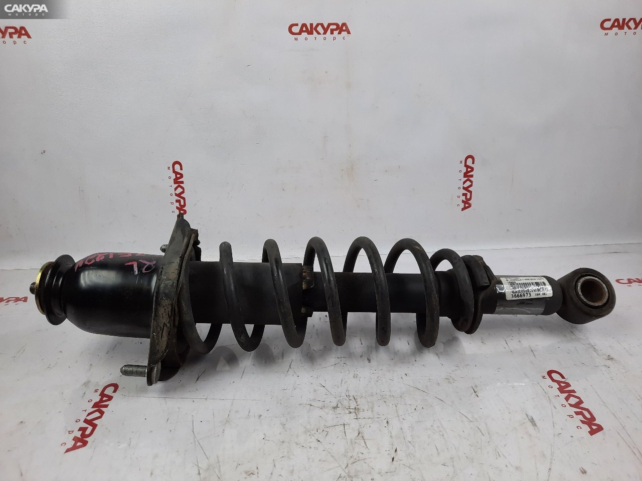 Стойка подвески задняя левая Toyota Corolla Spacio NZE121N 1NZ-FE: купить в Сакура Красноярск.