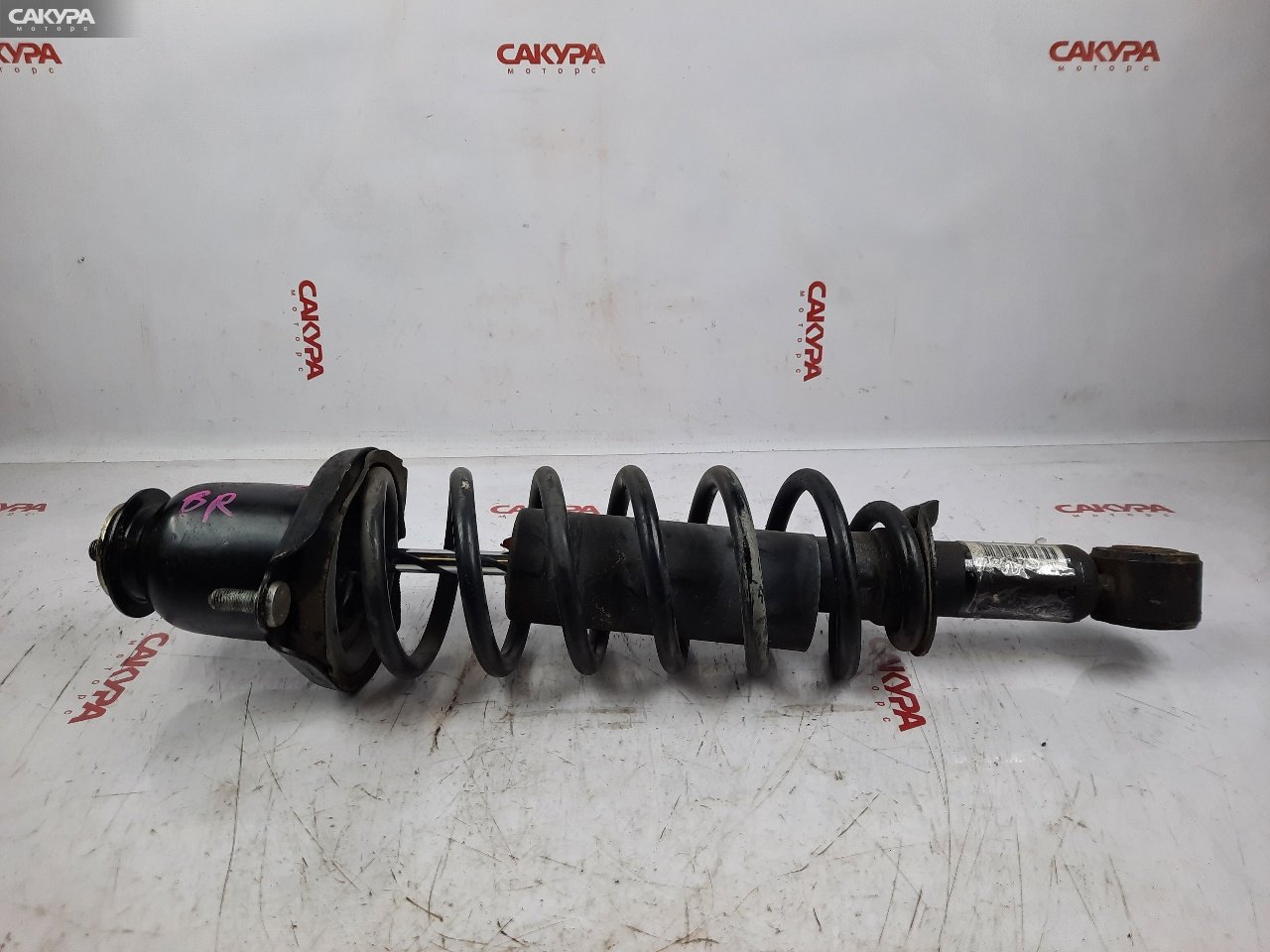 Стойка подвески задняя правая Toyota Corolla Spacio NZE121N 1NZ-FE: купить в Сакура Красноярск.