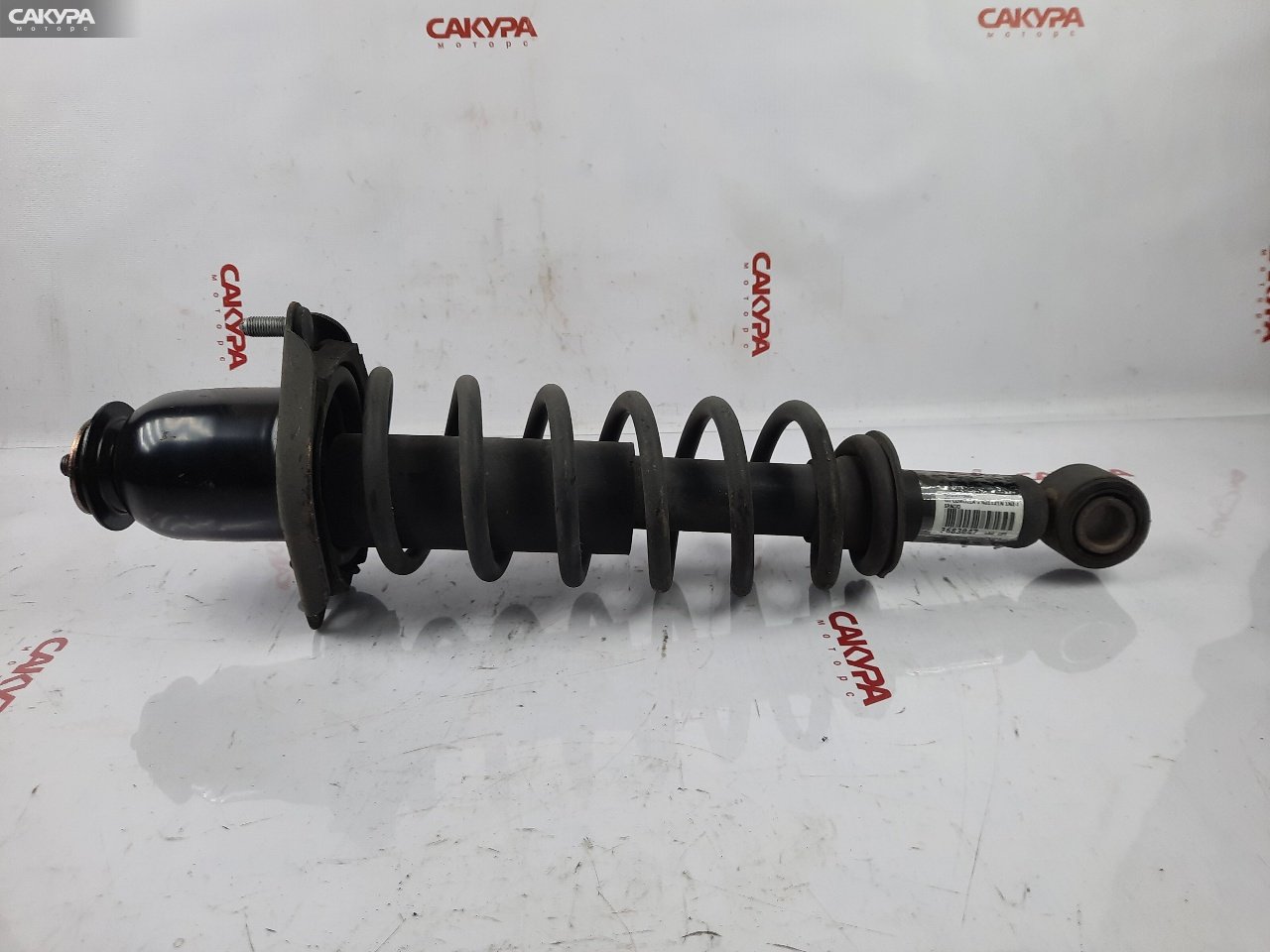 Стойка подвески задняя правая Toyota Corolla Spacio NZE121N 1NZ-FE: купить в Сакура Красноярск.