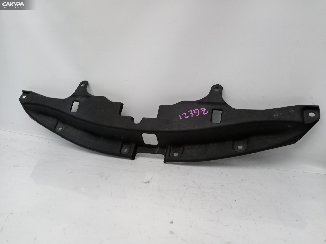 Защита радиатора Toyota Wish ZGE21G 3ZR-FAE: купить в Сакура Красноярск.