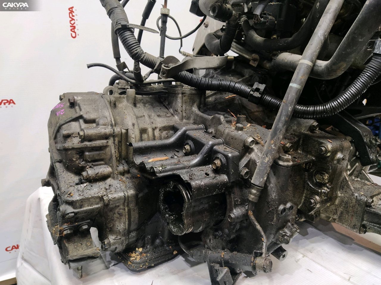 АКПП Toyota Camry Gracia SXV25 5S-FE: купить в Сакура Красноярск.