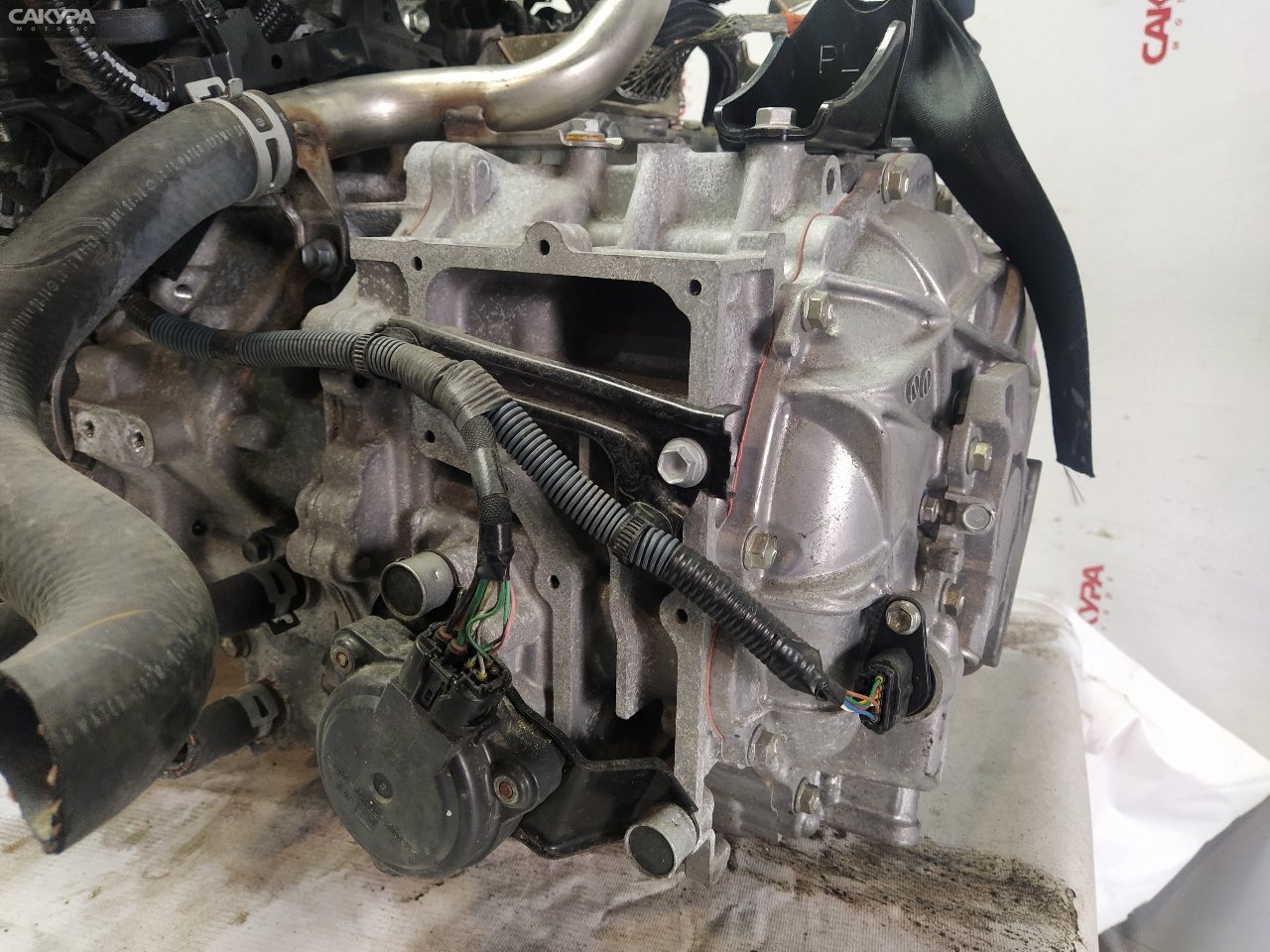 АКПП Toyota Prius ZVW30 2ZR-FXE: купить в Сакура Красноярск.