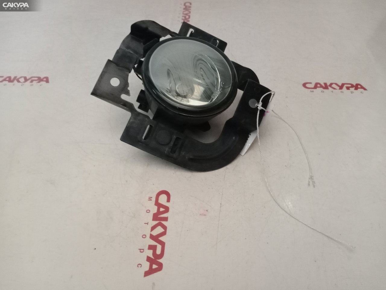 Фара противотуманная правая Nissan X-TRAIL NT30 029065: купить в Сакура Красноярск.