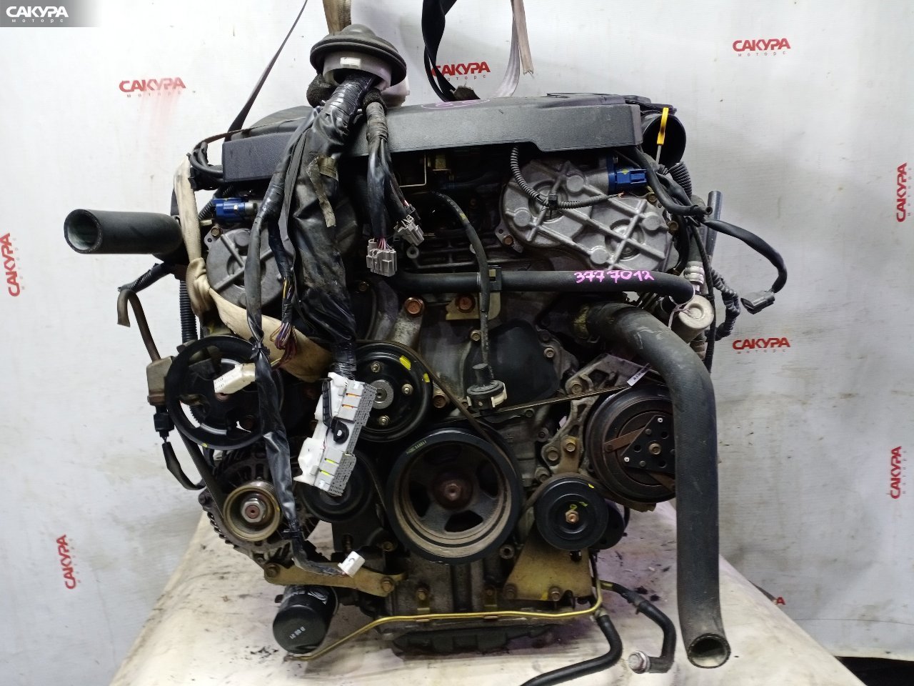 Двигатель Nissan Stagea NM35 VQ25DD: купить в Сакура Красноярск.