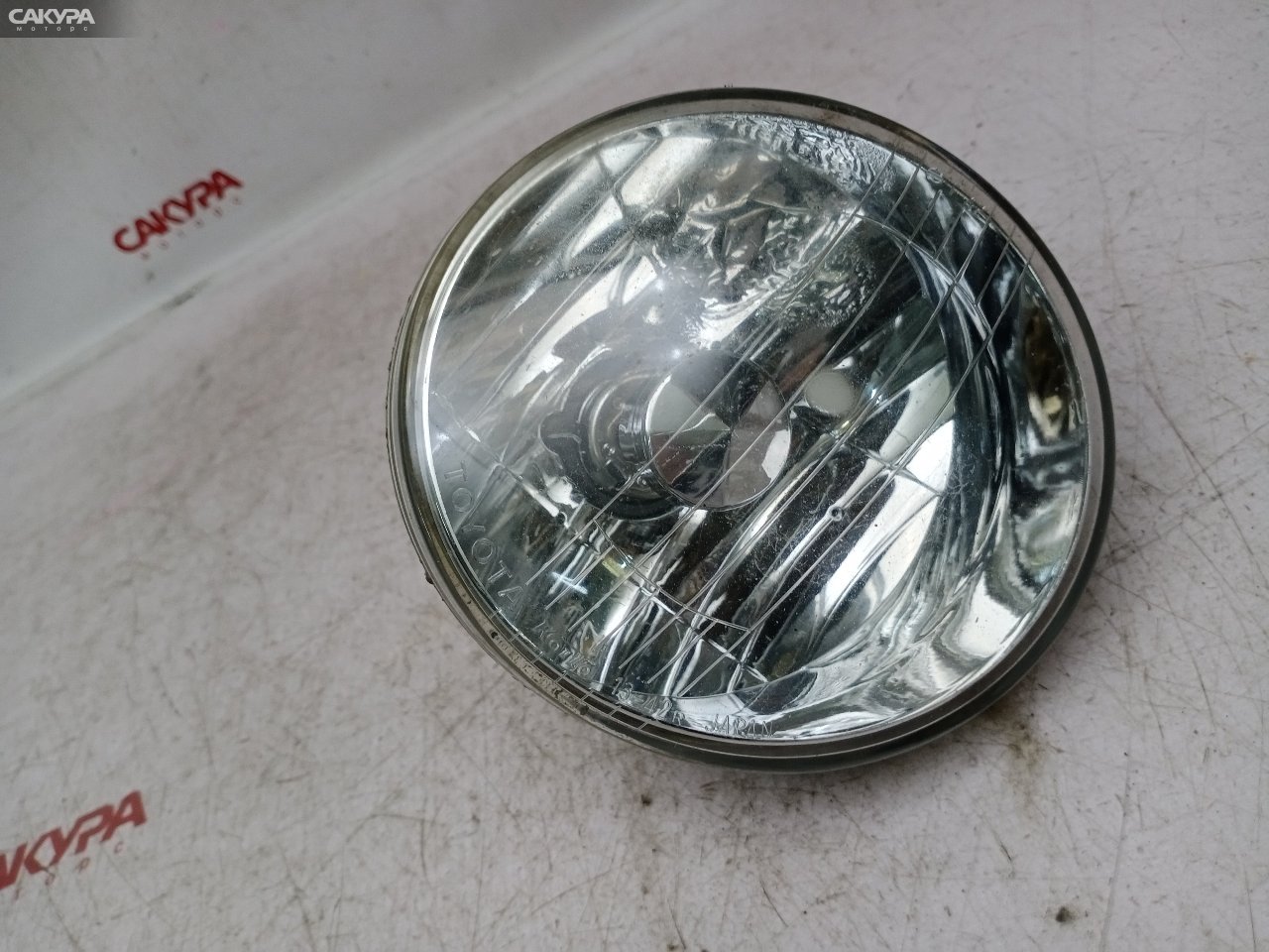 Фара противотуманная правая Toyota Nadia SXN10H 3S-FE 13-42: купить в Сакура Красноярск.