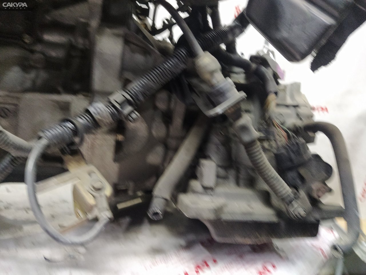 АКПП Mazda Demio DY3W ZJ-VE: купить в Сакура Красноярск.