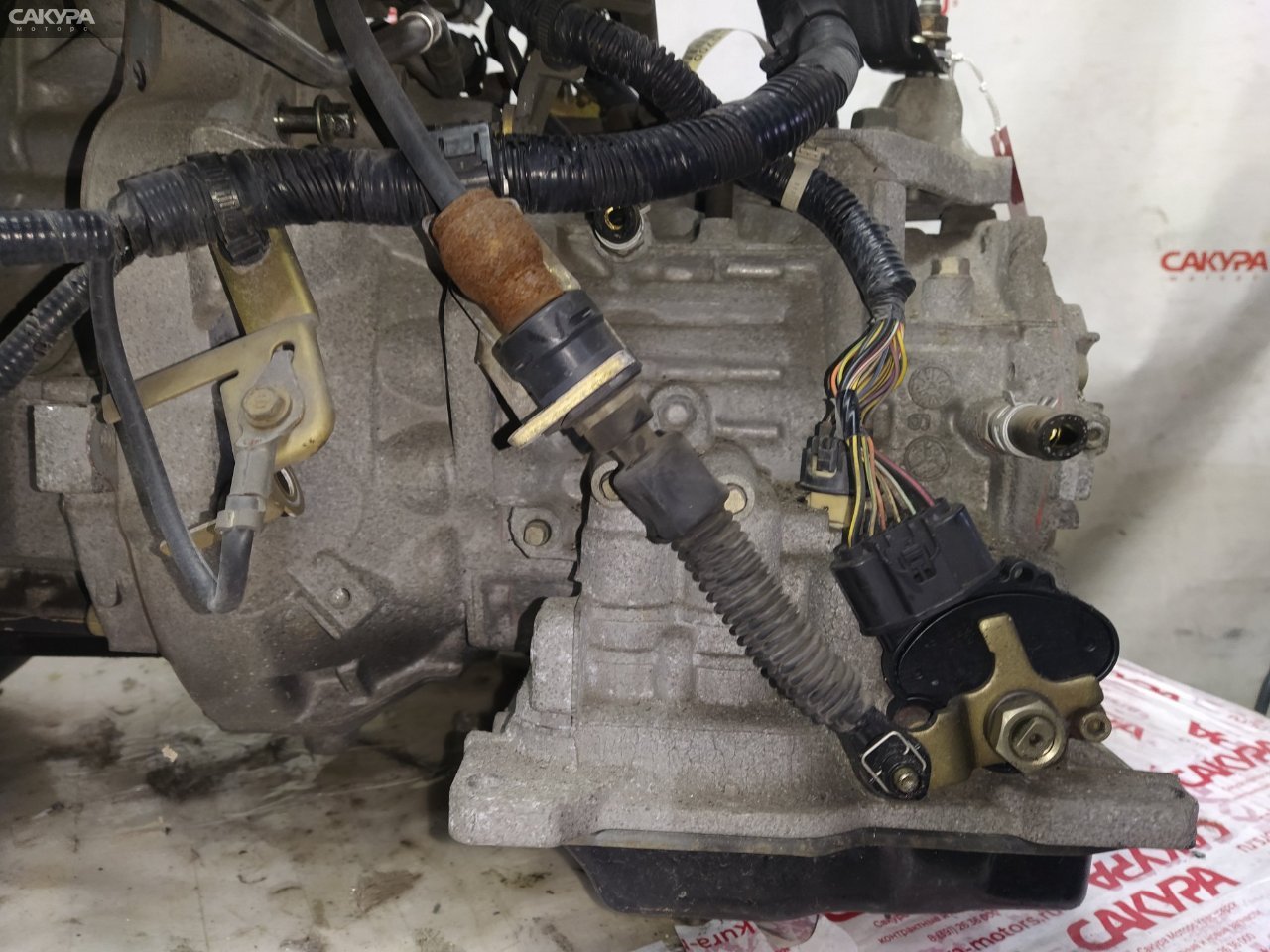 АКПП Mazda Demio DY3W ZJ-VE: купить в Сакура Красноярск.