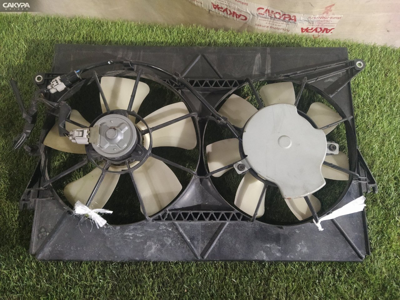 Вентилятор радиатора двигателя Toyota Wish ANE11W 1AZ-FSE: купить в Сакура Красноярск.