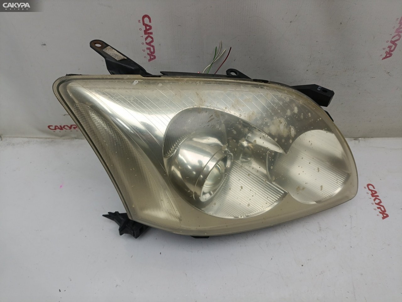 Фара правая Toyota Avensis AZT250 1AZ-FSE 05-41: купить в Сакура Красноярск.