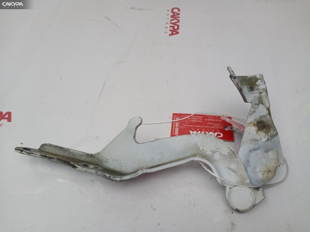 Кронштейн капота левый Toyota Voltz ZZE137 2ZZ-GE: купить в Сакура Красноярск.