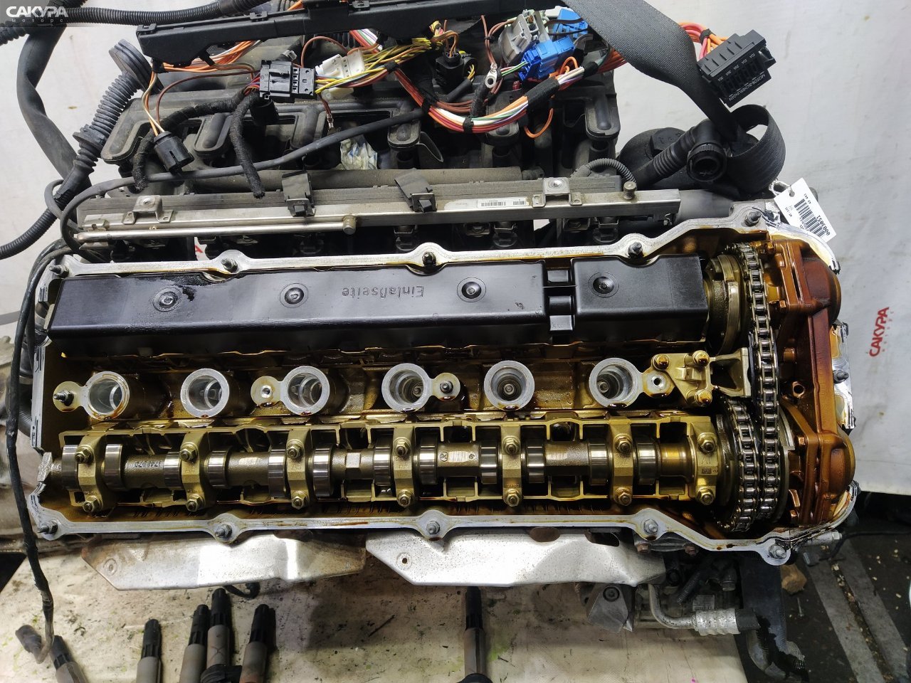 Двигатель BMW 525i E60 M54 B25: купить в Сакура Красноярск.