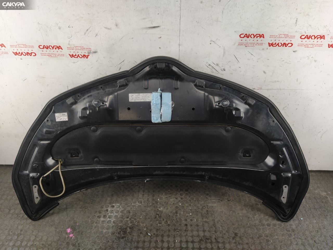 Капот Toyota IST NCP110 1NZ-FE: купить в Сакура Красноярск.