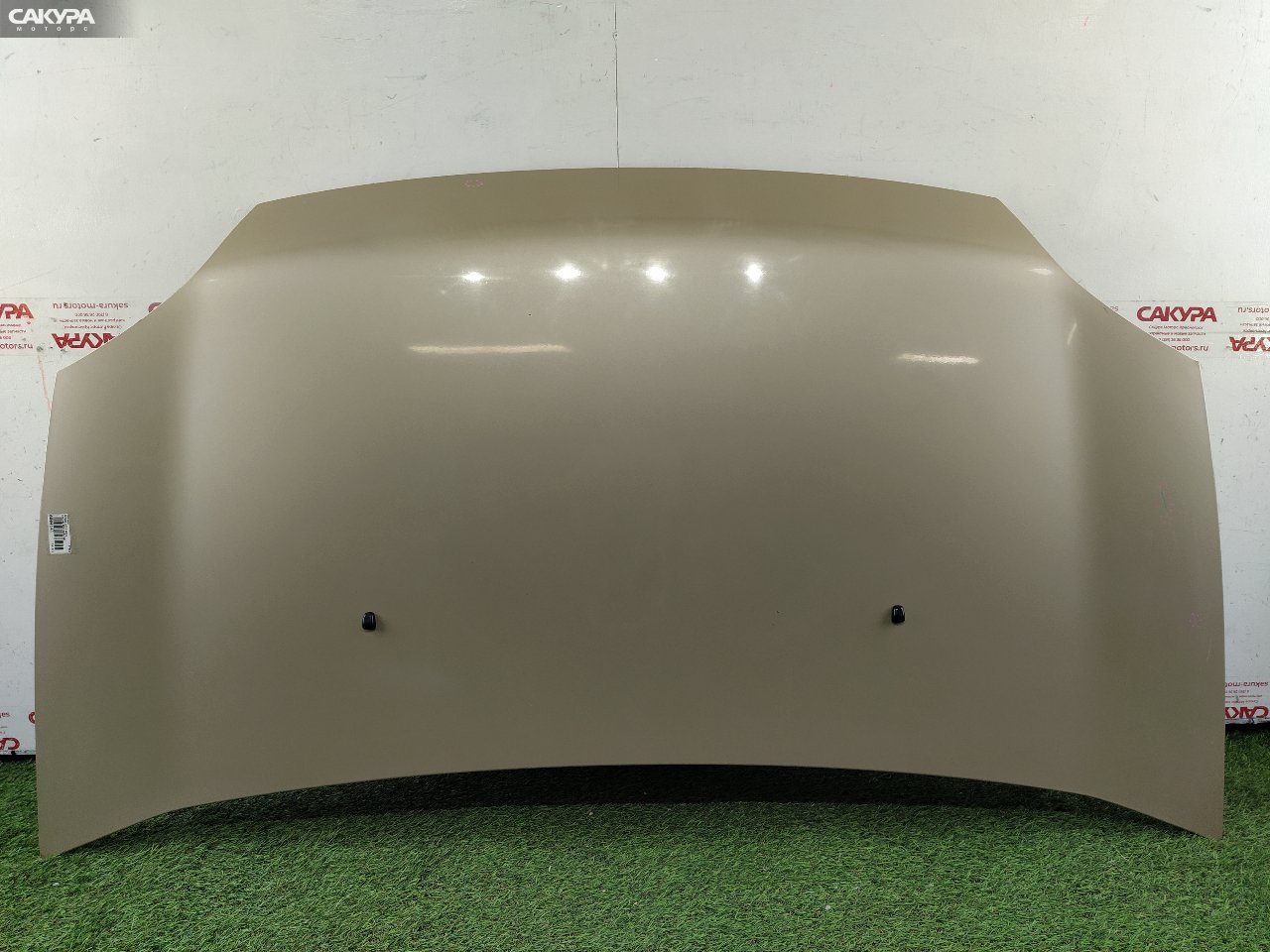 Капот Mitsubishi Dingo CQ2A 4G15: купить в Сакура Красноярск.