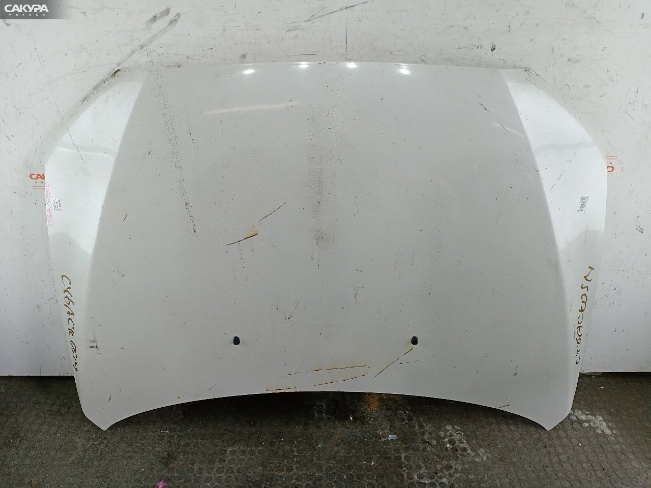 Капот Mitsubishi Galant Fortis CY6A 4J10: купить в Сакура Красноярск.